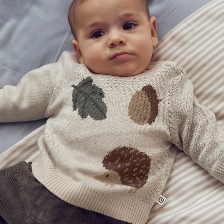 Babypullover